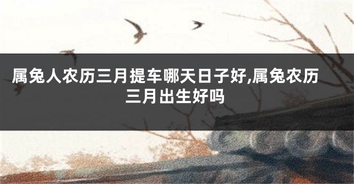 属兔人农历三月提车哪天日子好,属兔农历三月出生好吗