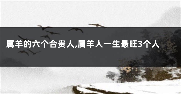 属羊的六个合贵人,属羊人一生最旺3个人