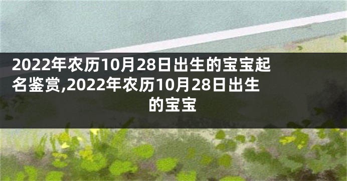 2022年农历10月28日出生的宝宝起名鉴赏,2022年农历10月28日出生的宝宝