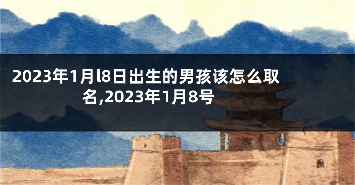 2023年1月l8日出生的男孩该怎么取名,2023年1月8号