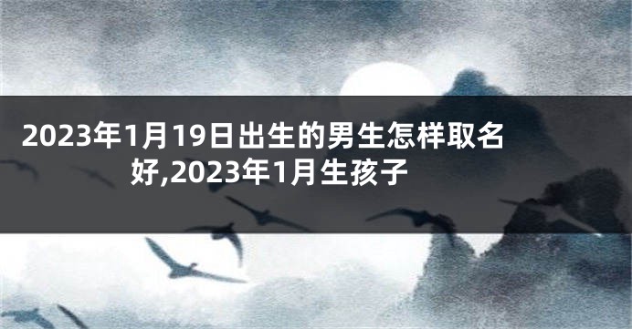 2023年1月19日出生的男生怎样取名好,2023年1月生孩子