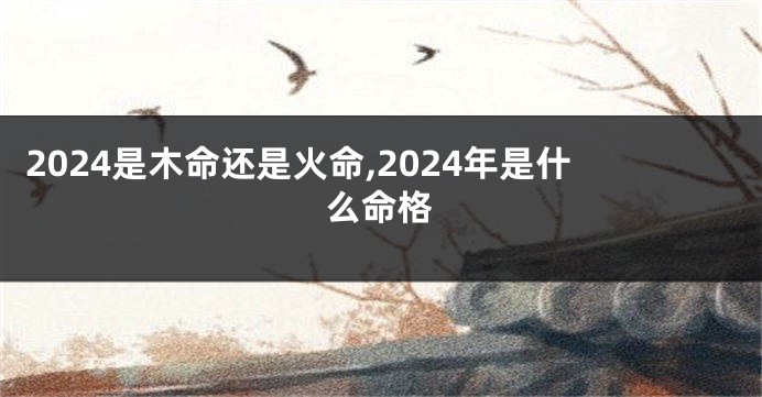 2024是木命还是火命,2024年是什么命格