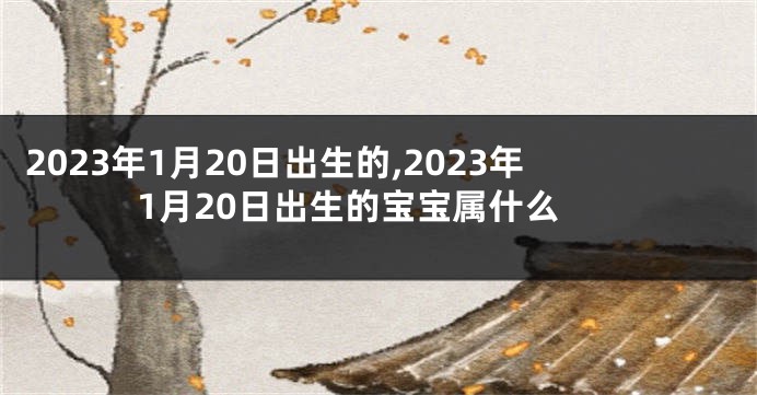2023年1月20日出生的,2023年1月20日出生的宝宝属什么