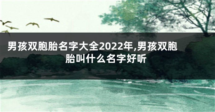 男孩双胞胎名字大全2022年,男孩双胞胎叫什么名字好听