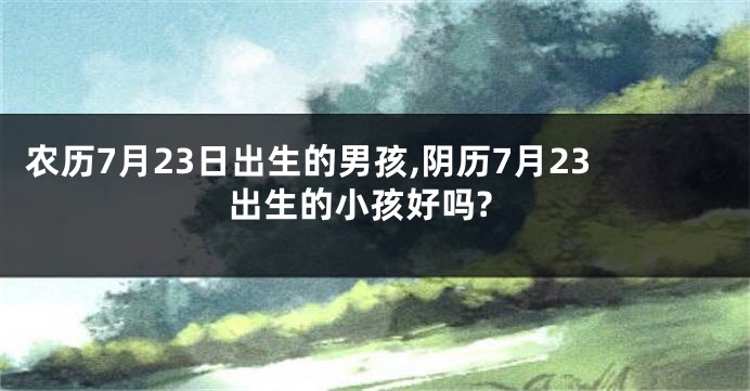农历7月23日出生的男孩,阴历7月23出生的小孩好吗?