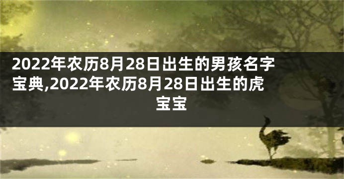 2022年农历8月28日出生的男孩名字宝典,2022年农历8月28日出生的虎宝宝