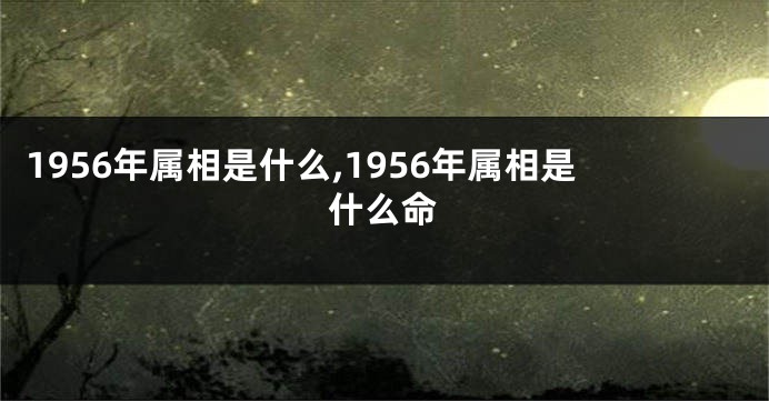 1956年属相是什么,1956年属相是什么命