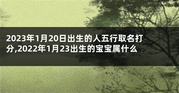 2023年1月20日出生的人五行取名打分,2022年1月23出生的宝宝属什么