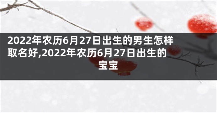 2022年农历6月27日出生的男生怎样取名好,2022年农历6月27日出生的宝宝