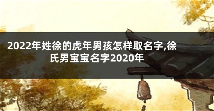 2022年姓徐的虎年男孩怎样取名字,徐氏男宝宝名字2020年