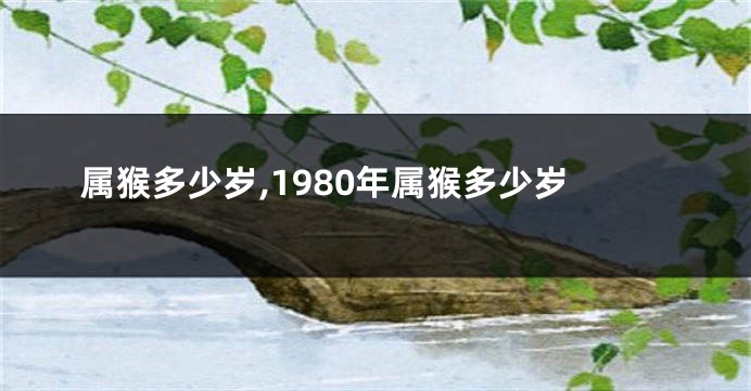 属猴多少岁,1980年属猴多少岁