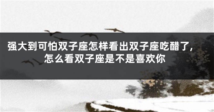强大到可怕双子座怎样看出双子座吃醋了,怎么看双子座是不是喜欢你