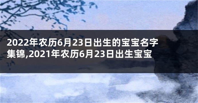 2022年农历6月23日出生的宝宝名字集锦,2021年农历6月23日出生宝宝