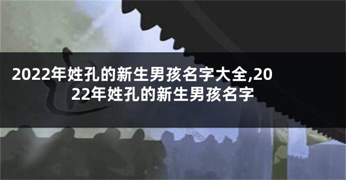 2022年姓孔的新生男孩名字大全,2022年姓孔的新生男孩名字