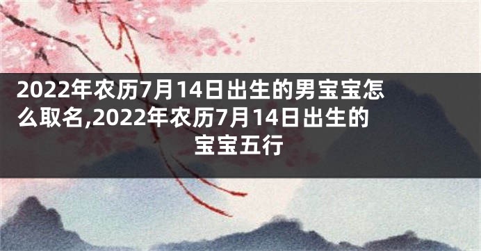 2022年农历7月14日出生的男宝宝怎么取名,2022年农历7月14日出生的宝宝五行