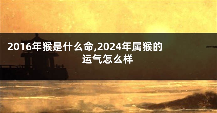 2016年猴是什么命,2024年属猴的运气怎么样