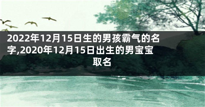 2022年12月15日生的男孩霸气的名字,2020年12月15日出生的男宝宝取名