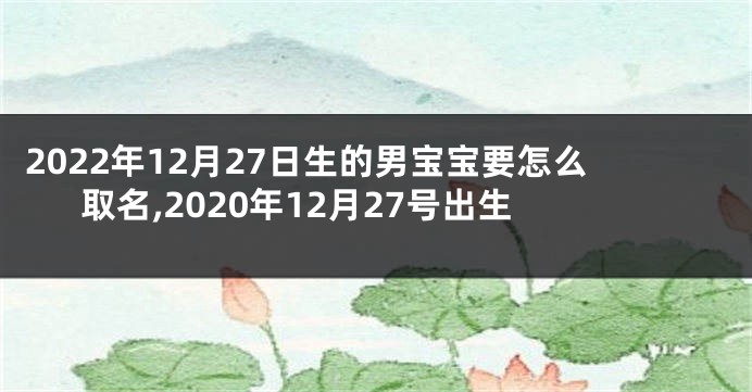 2022年12月27日生的男宝宝要怎么取名,2020年12月27号出生