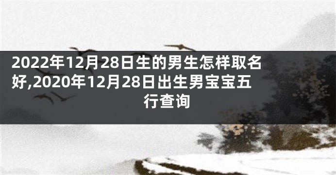 2022年12月28日生的男生怎样取名好,2020年12月28日出生男宝宝五行查询