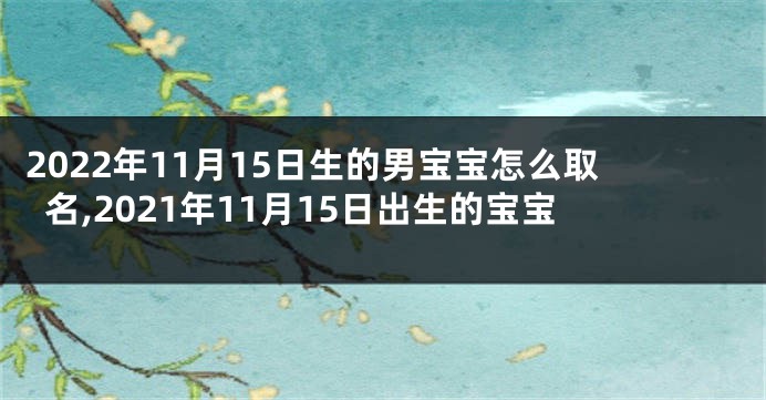 2022年11月15日生的男宝宝怎么取名,2021年11月15日出生的宝宝