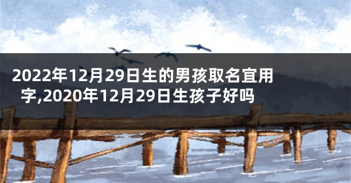2022年12月29日生的男孩取名宜用字,2020年12月29日生孩子好吗