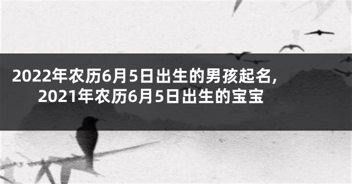 2022年农历6月5日出生的男孩起名,2021年农历6月5日出生的宝宝