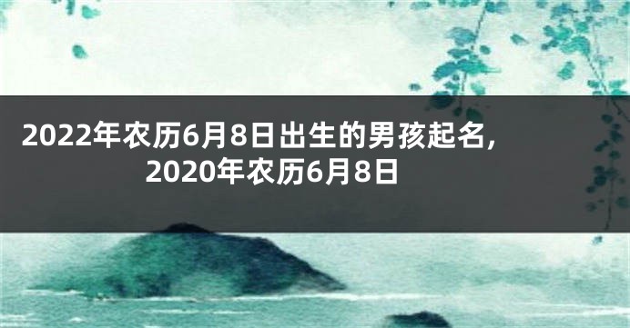 2022年农历6月8日出生的男孩起名,2020年农历6月8日