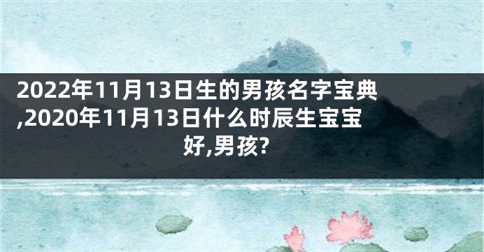 2022年11月13日生的男孩名字宝典,2020年11月13日什么时辰生宝宝好,男孩?