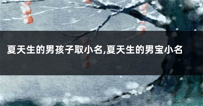 夏天生的男孩子取小名,夏天生的男宝小名