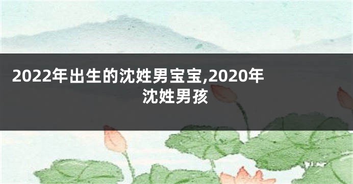 2022年出生的沈姓男宝宝,2020年沈姓男孩
