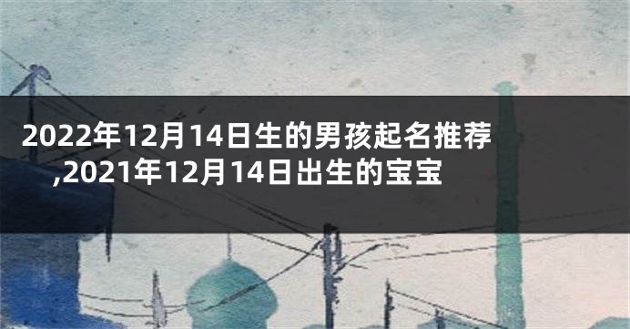 2022年12月14日生的男孩起名推荐,2021年12月14日出生的宝宝