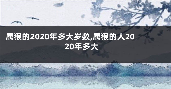 属猴的2020年多大岁数,属猴的人2020年多大
