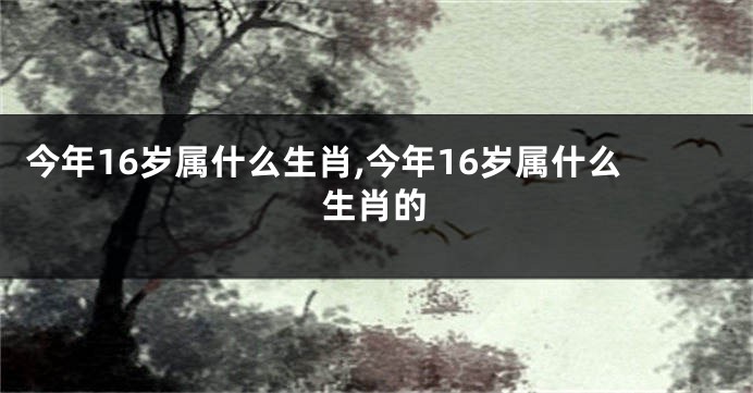 今年16岁属什么生肖,今年16岁属什么生肖的