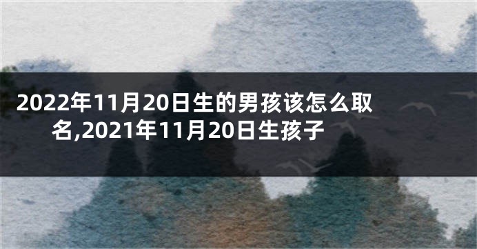 2022年11月20日生的男孩该怎么取名,2021年11月20日生孩子