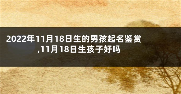2022年11月18日生的男孩起名鉴赏,11月18日生孩子好吗