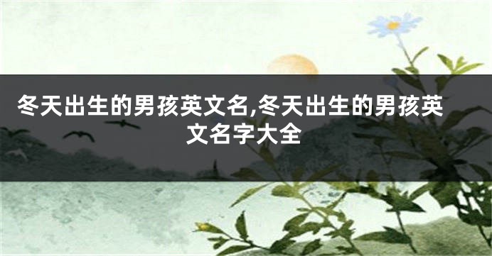 冬天出生的男孩英文名,冬天出生的男孩英文名字大全