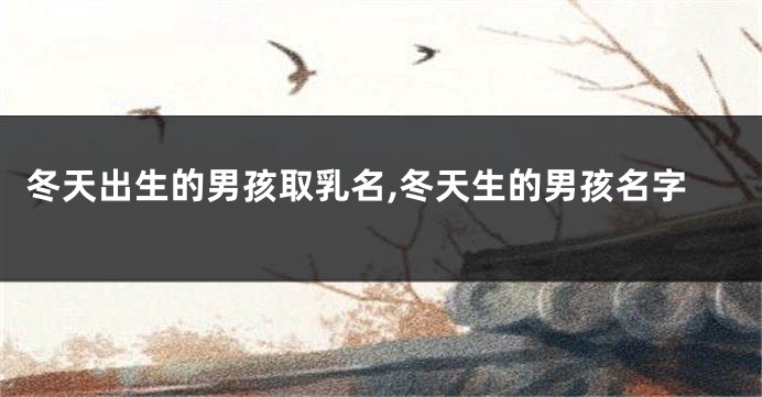 冬天出生的男孩取乳名,冬天生的男孩名字