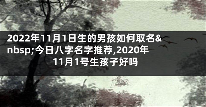2022年11月1日生的男孩如何取名 今日八字名字推荐,2020年11月1号生孩子好吗