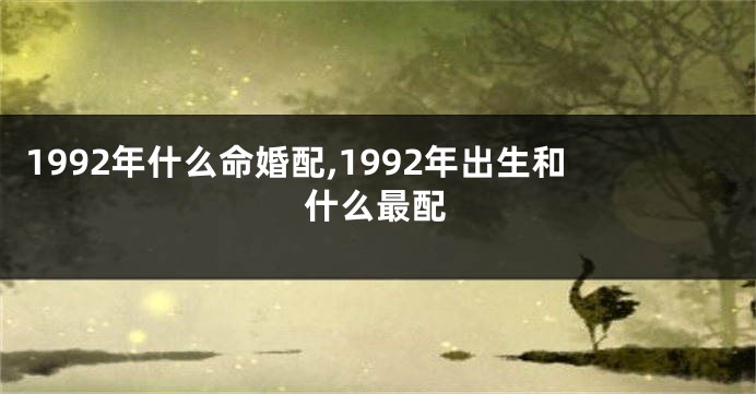 1992年什么命婚配,1992年出生和什么最配