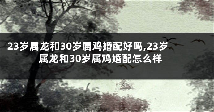 23岁属龙和30岁属鸡婚配好吗,23岁属龙和30岁属鸡婚配怎么样