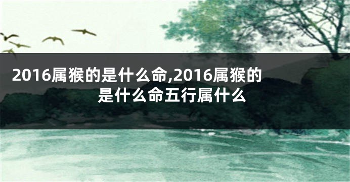 2016属猴的是什么命,2016属猴的是什么命五行属什么