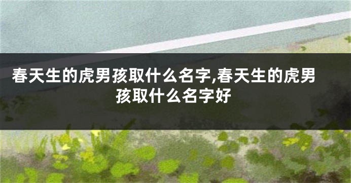 春天生的虎男孩取什么名字,春天生的虎男孩取什么名字好