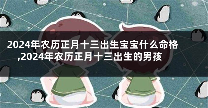 2024年农历正月十三出生宝宝什么命格,2024年农历正月十三出生的男孩