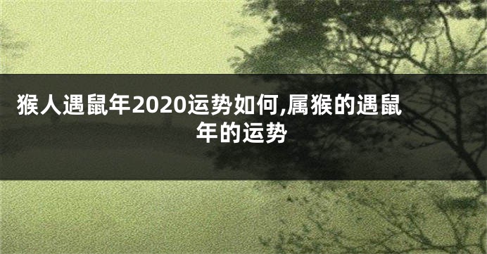 猴人遇鼠年2020运势如何,属猴的遇鼠年的运势