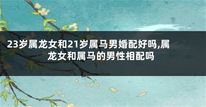 23岁属龙女和21岁属马男婚配好吗,属龙女和属马的男性相配吗
