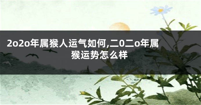 2o2o年属猴人运气如何,二0二o年属猴运势怎么样