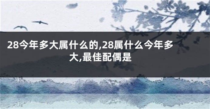 28今年多大属什么的,28属什么今年多大,最佳配偶是