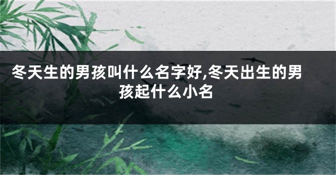 冬天生的男孩叫什么名字好,冬天出生的男孩起什么小名