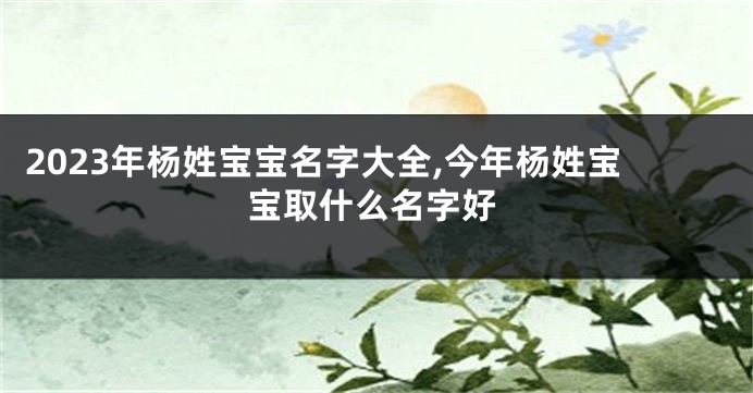 2023年杨姓宝宝名字大全,今年杨姓宝宝取什么名字好