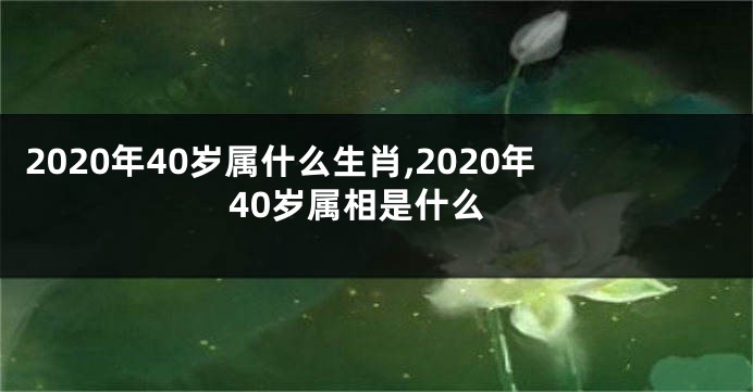 2020年40岁属什么生肖,2020年40岁属相是什么